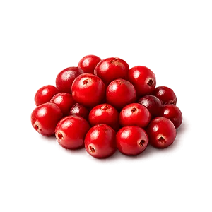 Ateril — Arándano rojo (cranberry)